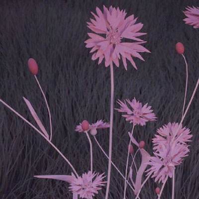 云开体育·app官方入口